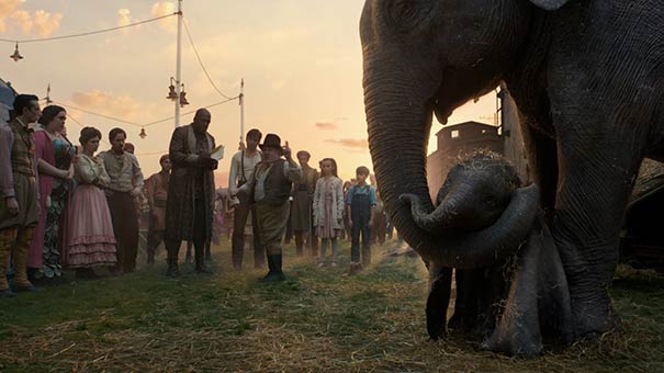dumbo