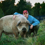 Tout est possible - The biggest little farm
