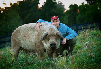 Tout est possible - The biggest little farm