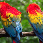 Exploration du monde - Equateur