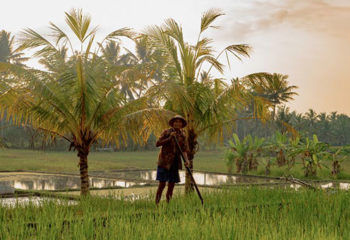 Exploration du Monde - Bali, l'île des dieux