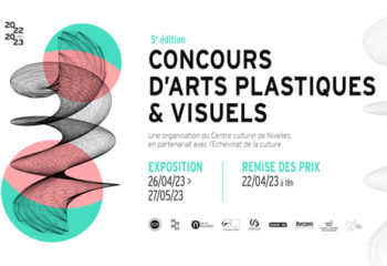 Concours d'arts plastiques et visuels de nivelles - exposition