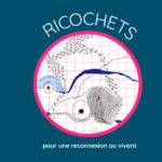 Ricochets, un projet de la plateforme Pulsart