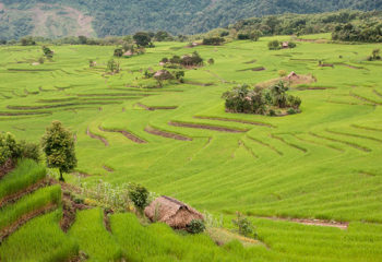 Exploration du Monde - Himalaya entre Bhoutan et Myanmar