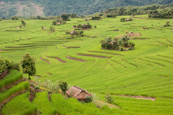 Exploration du Monde - Himalaya entre Bhoutan et Myanmar