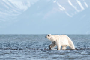 Exploration du Monde -Jardin extraordinaire, le tour du monde des animaux