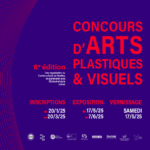 Concours d'Arts Plastiques et Visuels de Nivelles 2025