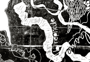 Ricochets, Un projet exploratoire et collectif, sur une proposition de Marion Fabien, artiste plasticienne. ...