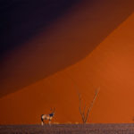 Exploration du Monde - Namibie, exceptionnelle par nature