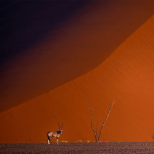 Exploration du Monde - Namibie, exceptionnelle par nature