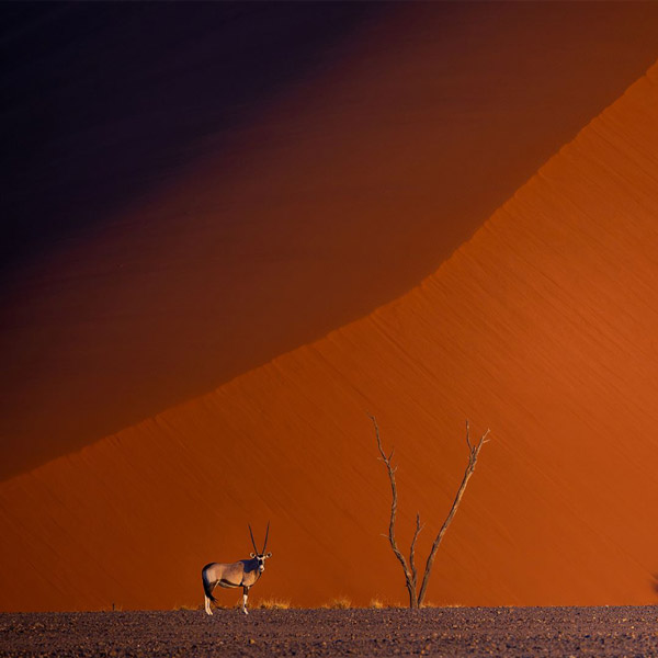 Exploration du Monde - Namibie, exceptionnelle par nature