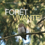 Avant-première de Wallonie Sauvage, 4e volet : Forêt Vivante